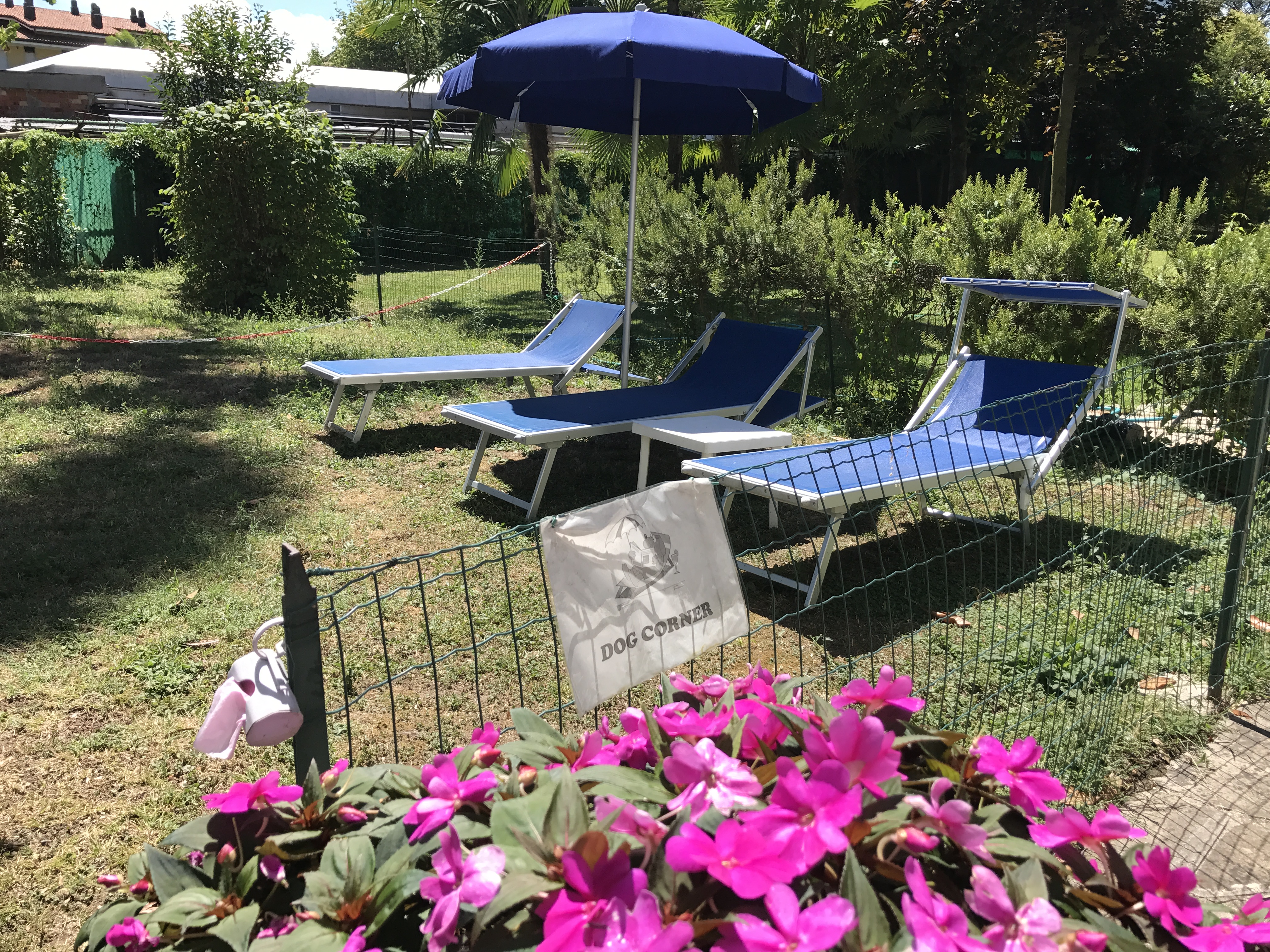 Kur mit Hund Kuramed